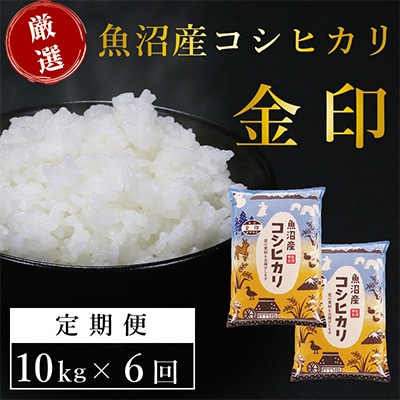 2023年9月発送開始『定期便』魚沼産コシヒカリ「金印」高食味米 10kg 全6回