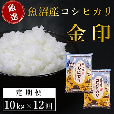 2023年7月発送開始『定期便』魚沼産コシヒカリ「金印」高食味米 10kg 全12回