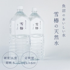 【毎月定期便】雪椿の天然水 2L&times;6本 硬度16度超軟水 全6回