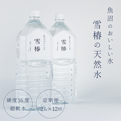 【毎月定期便】雪椿の天然水 2L×6本 硬度16度超軟水 全12回