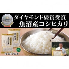 令和4年産 魚沼産こしひかり 【ダイヤモンド褒賞受賞(※)特別栽培米】5kg&times;2袋