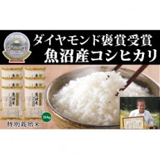 令和4年産 魚沼産こしひかり 【ダイヤモンド褒賞受賞(※)特別栽培米】5kg&times;6袋