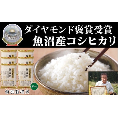 令和4年産　魚沼産こしひかり　【ダイヤモンド褒賞受賞(※)特別栽培米】5kg×6袋