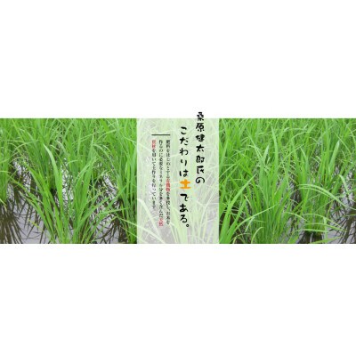 令和4年産　魚沼産こしひかり　【ダイヤモンド褒賞受賞(※)特別栽培米】5kg×6袋