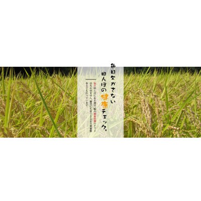 令和4年産　魚沼産こしひかり　【ダイヤモンド褒賞受賞(※)特別栽培米】5kg×6袋