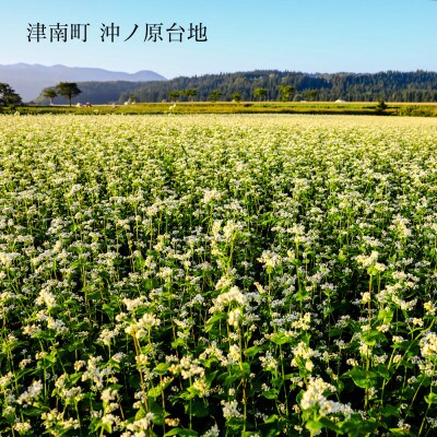 魚沼ふのりそば紀行4種詰合せ10把箱入(乾麺)
