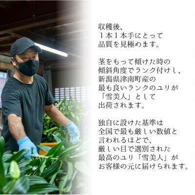 津南醸造の雪美人ギフトセット(ユリ3本&日本酒720ml×1本セット)