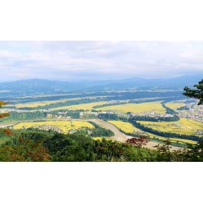 【毎月定期便】魚沼産コシヒカリ　津南町生産者組織「段丘会」のお米　段丘の華　5kg全6回