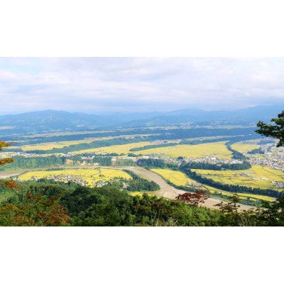 【毎月定期便】魚沼産コシヒカリ　特別栽培米　津南町認証米　5kg全3回