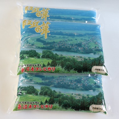2023年7月発送開始『定期便』魚沼産コシヒカリ 段丘の華 9kg(3kg×3袋) 全6回