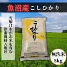 【のし付き】【令和6年産 新米】魚沼産コシヒカリ 無洗米5kg 魚沼地域津南町の美味しいお米
