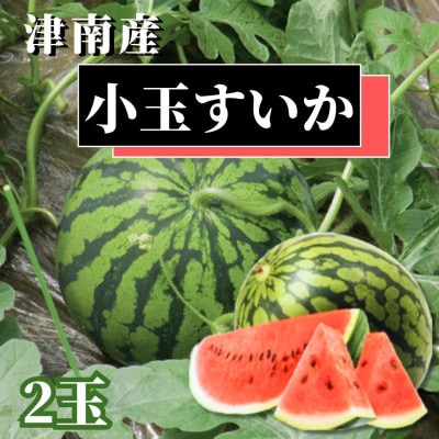 2025年8月上旬より順次発送予定【新潟県 魚沼 津南町産】小玉スイカ2玉