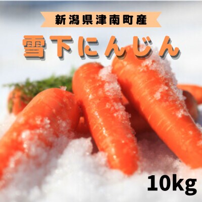【季節限定】雪国ならではの逸品!津南町の雪下にんじん(10kg)