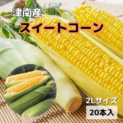【新潟県 津南町産】朝取りスイートコーン 2Lサイズ 20本(1本約400g)