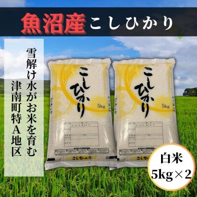 【毎月定期便】魚沼産コシヒカリ 白米10kg 魚沼地域津南町の美味しいお米全12回