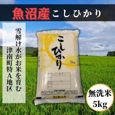 【毎月定期便】魚沼産コシヒカリ 無洗米5kg 魚沼地域津南町の美味しいお米全3回