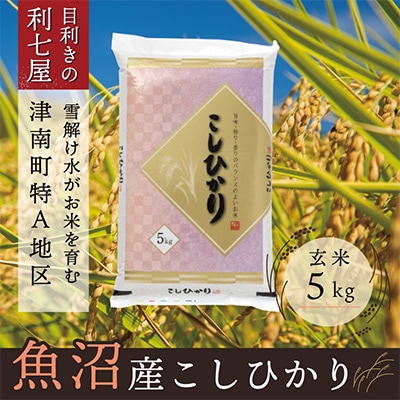 2023年8月発送開始『定期便』魚沼産コシヒカリ玄米5kg 新潟特A地区 津南の美味しいお米全3回