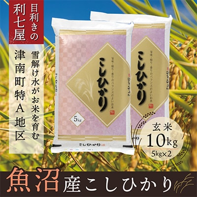 2023年10月発送開始『定期便』魚沼産コシヒカリ玄米10kg 新潟県の特A