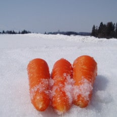 JA津南町の雪下にんじん　約4kg