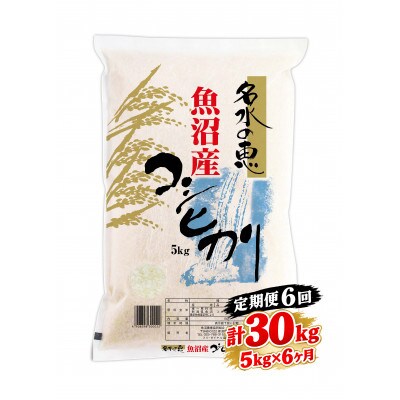 【毎月定期便】魚沼津南産コシヒカリ「名水の恵」5kg×6回 計30kg全6回