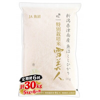【毎月定期便】魚沼津南産コシヒカリ特別栽培米「雪美人」5kg×6回 計30kg全6回