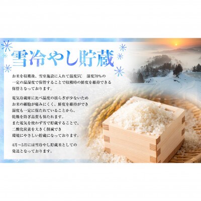 【毎月定期便】魚沼津南産コシヒカリ特別栽培米「雪美人」5kg×3回 計15kg全3回