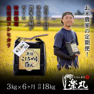 【毎月定期便】魚沼の山村津南町で米農家夫婦が育てた魚沼コシヒカリ特別栽培3kg全6回