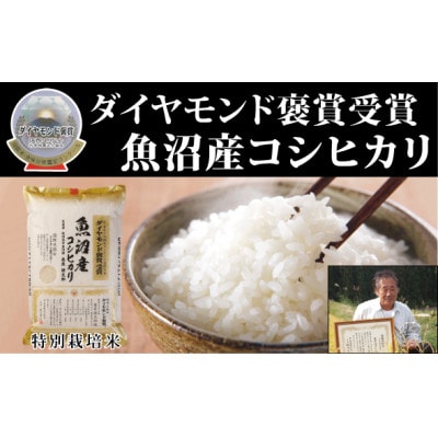 【令和7年産】最高級魚沼産こしひかり【ダイヤモンド褒賞受賞　特別栽培米】5kg(5kg×1)