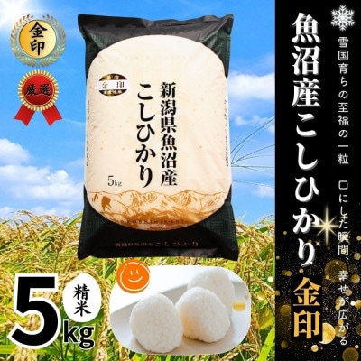 【令和7年産】魚沼産コシヒカリ金印(精米)5kg