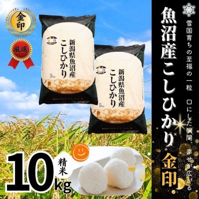 【令和7年産】魚沼産コシヒカリ金印(精米)10kg