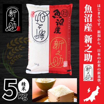 【令和7年産】魚沼産新之助(精米)5kg