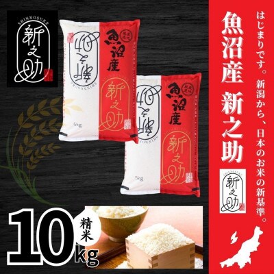 【令和7年産】魚沼産新之助(精米)10kg