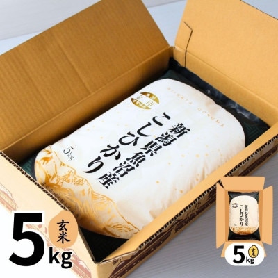 【令和7年産】魚沼産コシヒカリ金印(玄米)5kg
