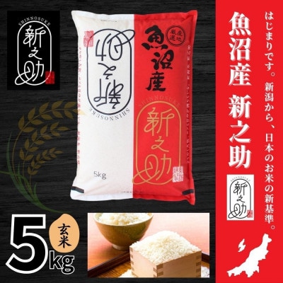 【令和7年産】魚沼産新之助(玄米)5kg