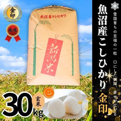 【令和7年産】魚沼産コシヒカリ金印(玄米)30kg