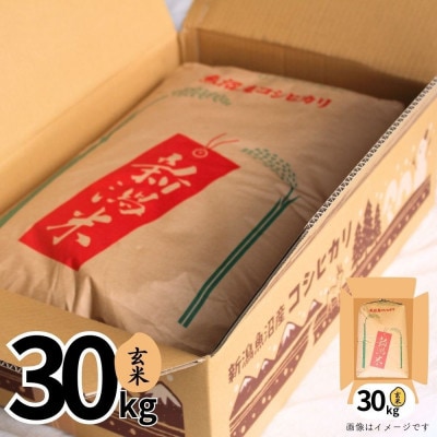 【令和7年産】魚沼産コシヒカリ金印(玄米)30kg