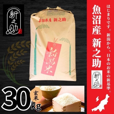 【令和7年産】魚沼産新之助(玄米)30kg
