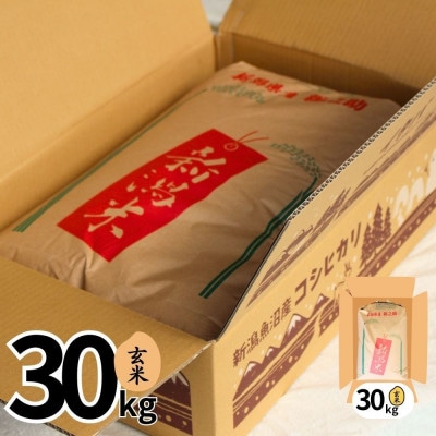 【令和7年産】魚沼産新之助(玄米)30kg