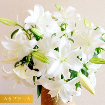 【規格外品】カサブランカ(5本束×2セット)