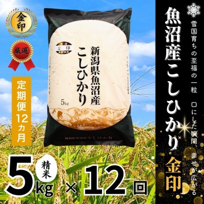 【毎月定期便】魚沼産コシヒカリ(金印)精米 5kg全12回
