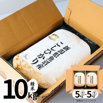 【毎月定期便】魚沼産コシヒカリ(金印)精米 10kg全6回