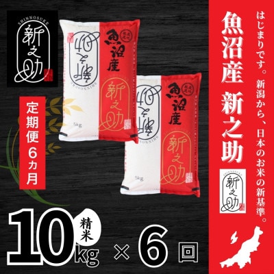 【毎月定期便】魚沼産新之助 精米 10kg全6回
