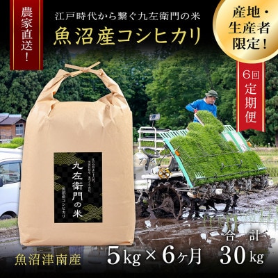 【毎月定期便】魚沼産コシヒカリ 九左衛門の米 5kg(5kg×1袋)全6回