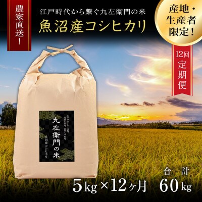 【毎月定期便】魚沼産コシヒカリ 九左衛門の米 5kg(5kg×1袋)全12回