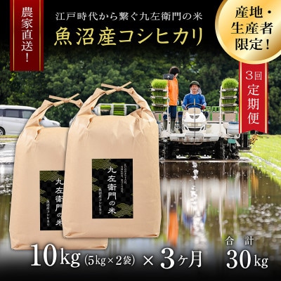 【毎月定期便】魚沼産コシヒカリ 九左衛門の米 10kg(5kg×2袋)全3回