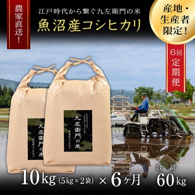 【毎月定期便】魚沼産コシヒカリ 九左衛門の米 10kg(5kg×2袋)全6回