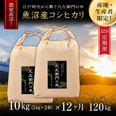 【毎月定期便】魚沼産コシヒカリ 九左衛門の米 10kg(5kg×2袋)全12回