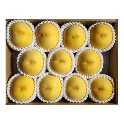 【数量限定】桃(黄貴妃)3kg　特秀品　0106-2504