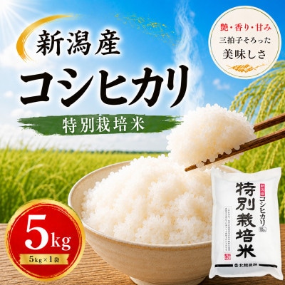 【令和7年産】新潟産コシヒカリ 特別栽培米 5kg | 一粒一粒に甘み広がるおいしさ