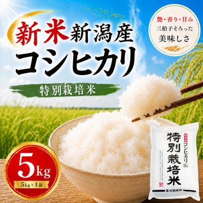【令和8年産 新米】新潟産コシヒカリ 特別栽培米 5kg | 甘み広がるおいしさ